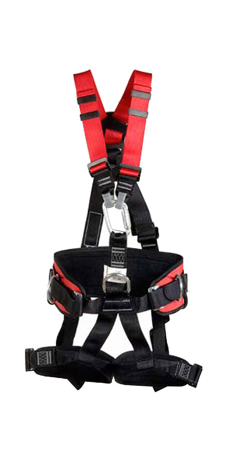  PROFI EVO C harness
